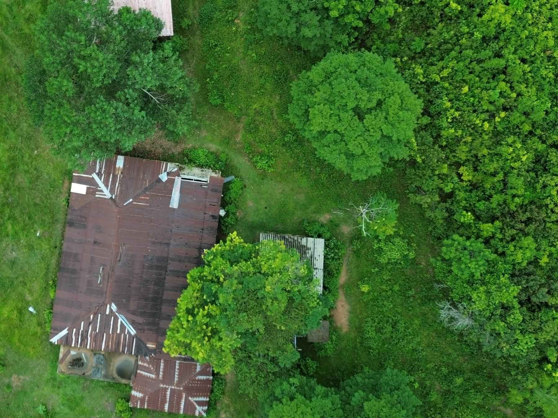 Aerial view of a house surrounded by regrowing forest
